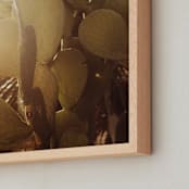 " Cactus Lush" - Art Print in Prickly Pear by Hollie Renner Photography - Frame Close-up