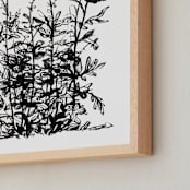 "Silverlace Fern" - Art Print in Black and White by Field and Sky - Frame Close-up