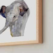 "Baby Animal Friends: Elephant" - Art Print in Elephant Gray by Jieun K Rasband - Frame Close-up