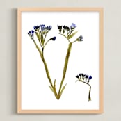 "Statice Purple" - Art Print in Royal Purple by Stick and Petal - Framed