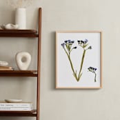 "Statice Purple" - Art Print in Royal Purple by Stick and Petal - In a Room