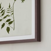 "Foraged II" - Art Print in Verdant by Kamala Nahas - Frame Close-up