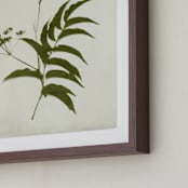 "Foraged III" - Art Print in Verdant by Kamala Nahas - Frame Close-up