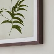 "Foraged III" - Art Print in Verdant by Kamala Nahas - Frame Close-up