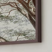 "Tapestry II" - Art Print in Woodland Green by Alicia Abla - Frame Close-up