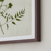 "Foraged I" - Art Print in Verdant by Kamala Nahas - Frame Close-up