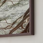 "Tapestry I" - Art Print in Woodland Green by Alicia Abla - Frame Close-up