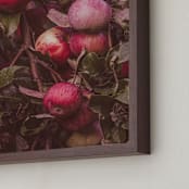 "Apple Season" - Art Print in Ripe Red by Justine Bicknell - Frame Close-up