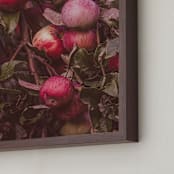 "Apple Season" - Art Print in Ripe Red by Justine Bicknell - Frame Close-up
