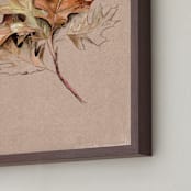 "Leaf Study" - Art Print in Oak by Olivia Kanaley Inman - Frame Close-up