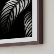 "Botanical Study #10" - Art Print in Black and grey by Kaitie Bryant - Frame Close-up