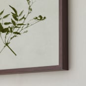 "foraged IV" - Art Print in verdant by Kamala Nahas - Frame Close-up