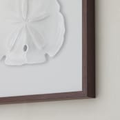 "Modern Sand Dollar" - Art Print in Ice Grey by Artsy Canvas Girl Designs - Frame Close-up