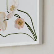 "Poppies II" - Art Print in Stem by Blustery August - Frame Close-up