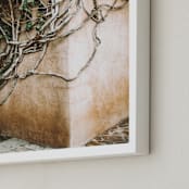 "Hold On" - Art Print in ivy by Janet Cruz - Frame Close-up