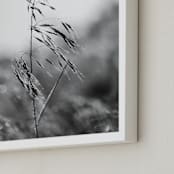"Dancing grass" - Art Print in Mist by Magdalena Kucova - Frame Close-up
