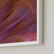 "Dreamy Oyster Mushroom" - Art Print in Coral Pink by Elena Kulikova - Frame Close-up