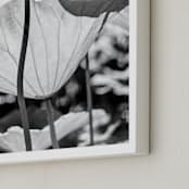 "dancing in the light" - Art Print in classic black and white by Qing Ji - Frame Close-up