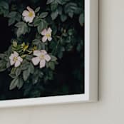 "Moody white roses" - Art Print in deep green by Hanke Arkenbout - Frame Close-up