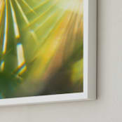 "Palm Fronds" - Art Print in Palm green by Tommy Kwak - Frame Close-up