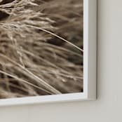 "Summertime 2" - Art Print in Lucca by Bethania Lima - Frame Close-up