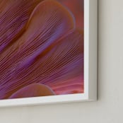 "Dreamy Oyster Mushroom" - Art Print in Coral Pink by Elena Kulikova - Frame Close-up