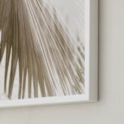 "Vanilla Palm" - Art Print in Day by Owl and Toad - Frame Close-up