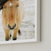 "All Is Quiet on Film" - Art Print in Honey by Jenni Kupelian - Frame Close-up