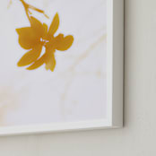 "Morning II" - Art Print in Amber by Stellax Creative - Frame Close-up
