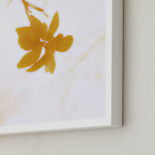 "Morning II" - Art Print in Amber by Stellax Creative - Frame Close-up