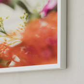 "Protea II" - Art Print in tangerine by Kamala Nahas - Frame Close-up