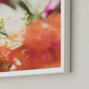 "Protea II" - Art Print in tangerine by Kamala Nahas - Frame Close-up