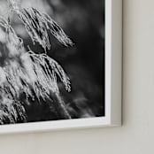"Dancing grass II" - Art Print in Shadow by Magdalena Kucova - Frame Close-up