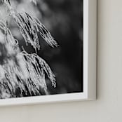 "Dancing grass II" - Art Print in Shadow by Magdalena Kucova - Frame Close-up