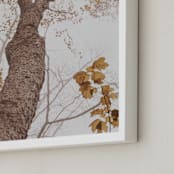 "Be Still I" - Art Print in Autumn by Robin Ott - Frame Close-up