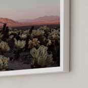 "Joshua Tree I" - Art Print in Desert by Jenna Gibson - Frame Close-up