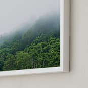 "Foggy mountain" - Art Print in fern by Aniko Levai - Frame Close-up