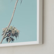 "Palms for Days" - Art Print in Pale Turquoise by Shannon Howard - Frame Close-up