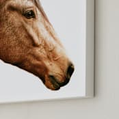 "Dominant Spirit" - Art Print in Chestnut by Robin Ott - Frame Close-up