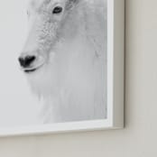 "Fierce" - Art Print in Mountain Granite by Jamie Lollback - Frame Close-up