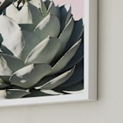 "Pink Agave" - Art Print in Blush by Wilder California - Frame Close-up