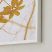 "Morning I" - Art Print in Amber by Stellax Creative - Frame Close-up