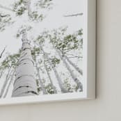 "Aspens at Altitude" - Art Print in Wonderfully White by Kaleb Nimz - Frame Close-up