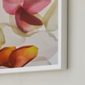 "Inventing a Flower" - Art Print in Rose by Karen Kardatzke - Frame Close-up