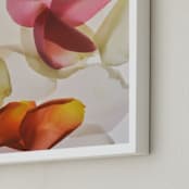 "Inventing a Flower" - Art Print in Rose by Karen Kardatzke - Frame Close-up