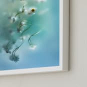 "Daisies in aqua" - Art Print in Capri Blue by Aralyn Griesbach - Frame Close-up