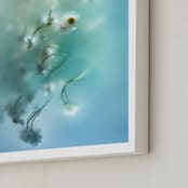 "Daisies in aqua" - Art Print in Capri Blue by Aralyn Griesbach - Frame Close-up