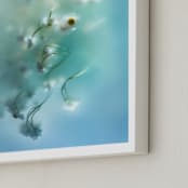 "Daisies in aqua" - Art Print in Capri Blue by Aralyn Griesbach - Frame Close-up