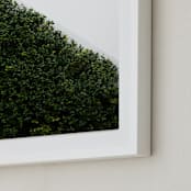 "verdant garden I" - Art Print in leaf by Sara Hicks Malone - Frame Close-up