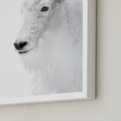 "Fierce" - Art Print in Mountain Granite by Jamie Lollback - Frame Close-up